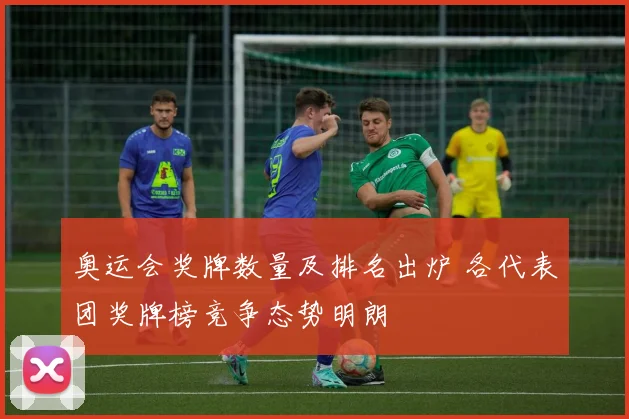 奥运会奖牌数量及排名出炉 各代表团奖牌榜竞争态势明朗